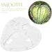OSALADI Plant Plastic Fruit Clear Fruit Yard Fruit Fruit Forming Heart-Shaped Pumpkin - Buy Online on GoSupps.com