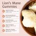 Magic Doze Brain Food: Lion's Mane Mushroom Gummies 20 Vegan Gummies Per Bottle - Buy Online on GoSupps.com