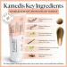 KAMEDIS Scalp Moisturizer Leave-On Lotion | Dandruff Detox & Itchy Flaky Skin Relief | Parabens Free | 3.38 Fl Oz - Buy Online on GoSupps.com