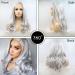 Buy 26 Drag Queen Wigs - Heat Resistant Lace Front Synthetic Wigs with Natural Hairline in Cool Silver Gray for Cosplay - Buy Online on GoSupps.com