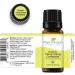 Buy Plant Therapy Ylang Ylang Essential Oil - 100% Pure Organic Aromatherapy 10 mL - International Shipping Available - Buy Online on GoSupps.com