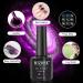 MIZHSE 9D Cat Eye Gel Nail Polish Set | Chameleon Magnetic Effect | 10ml (9D Collection 1) 6Pcs - Buy Online on GoSupps.com