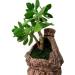 Topcomww Artificial Green Moss for Plant Crafts & Flower Centerpieces - 3.5oz - Buy Online on GoSupps.com