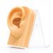 Gonryun Right Ear Silicone Piercing Practice Kit and Display Tool - Buy Online on GoSupps.com
