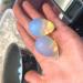 Buy 1.2 Inch Natural Opal Egg Quartz Crystal - Kegel Exercise Stone for Women | International Shipping - Buy Online on GoSupps.com