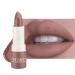 Beliky Girl Waterproof matte lipstick long-lasting moisturizing lipstick sexy rose-red velvet lipstick nude lipstick cosmetic lipstick for women (Amber)