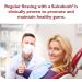 Sulcabrush Kids Flossing Brush Handle - 1 Count (Pack of 1) - Buy Online on GoSupps.com