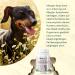 Allergy Tablets for Dogs - Natural Anti-Allergy Solution with Colostrum Brewer's Yeast & Prebiotics - Made in Germany - Buy Online on GoSupps.com