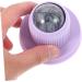 Healvian Rollerball Massage Device | Lipo-Roller & Lymph Massager Tool | Body-Relax Muscle Massage Roller with Suction Cup - Buy Online on GoSupps.com