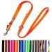Dog leash double leash adjustable 2m / 2.40m / 2.80m / 3.50m / 5m large dogs 20mm/25mm (Orange 25mm 2.40m) Orange 25mm 2.40m