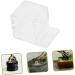 INOOMP 5pcs Pet Water Feeder Ants Water Bowl Ants Nest Water Feeder Transparent Ants Feeding Cup Plastic 1 count (Pack of 1) - Buy Online on GoSupps.com