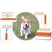Twinkys Dog Style Tow Leash - 1m Rubberized 15mm Wide for Dogs up to 15kg - Hand Loop-Free Durable Made in Germany - Orange - Buy Online on GoSupps.com
