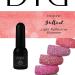 Didier Lab - Premium UV Gel Nail Polish - Brillant No. 15 - Gel Nail Varnish - Nail Art - Long-Lasting High Gloss Wear - Orange Gel Nail Polish - Gel Nails - Glitter Gel Nail Polish - Rich Pigment - Buy Online on GoSupps.com