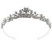 FRCOLOR Crystal Wedding Tiara for Bride Elegant Rhinestone Bridal Jewelry Flower Tiara Crown Women Tiara Hair Accessories Silver