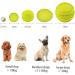 Laroo Dog Toys - Durable Natural Rubber Squeaker Football for Small & Large Dogs (6.5cm Green) - International Shipping Available - Buy Online on GoSupps.com
