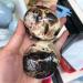 for Opal Palm Stone Natural Minerals Crystals Gems Reiki for Sale Piedras decorativas para el hogar Natural Luster (Color : 1pcs Size : 60-80mm) 60-80mm 1pcs - Buy Online on GoSupps.com