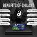 Mountain Minerals Shilajit Resin 30g - Pure Himalayan Gold Grade Fulvic & Humic Acid Minerals - Immune System & Vitality Booster - Vegan - Pack of 1 - Buy Online on GoSupps.com