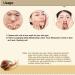Snail Face Cr me anti-escargots - Extrait de s rum pour le visage - S rum - S cr tions naturelles - Extrait de mucus - Cr me hydratante l'escargot - R duit la perte de lifting et raffermit la peau - Buy Online on GoSupps.com