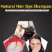 Ginger Lot de 2 shampoings Herbal Natural Fast Blacking Gray Hair Dye Black Shampooing Dye for Hair Coloring Anti-Hair Loss Hair Care Natural Black Hair Shampooing (Noir) - Buy Online on GoSupps.com