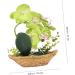TOPBATHY 3pcs Rn Gift Phalaenopsis Home Accents Decor The Gift Home Forniture Decor Artificial Flower Bonsai Decor for Home Office Decor Garden Simulated Plant Double Fork Fake Orchid Greenx3pcs 27*17.5cmx3pcs - Buy Online on GoSupps.com