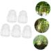 SUPVOX 5pcs Vegetable Plastic Fruit Transparent Fruit Ginseng Fruit Shaping Mini - Buy Online on GoSupps.com
