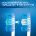 Oral-B Indicator Toothbrush Regular 40 Soft 11 - Pack of 4 | Gentle Dental Care - Buy Online on GoSupps.com
