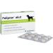 Felipren Acute Chewing Tablets for Dogs | Effective Pain Relief & Anti-Inflammatory | Fast International Shipping - Buy Online on GoSupps.com