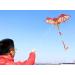Dragon Kite for Kids and Adults | Easy-to-Fly Beginner Kite with Spinning Tail | 200ft String | Red Kite for Children - Buy Online on GoSupps.com
