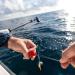 Cannon Offshore Saltwater Line Release - Red | High-Quality Fishing Gear - Buy Online on GoSupps.com