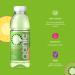 Ganic Ananas Kiwi Physalis Flavored Water | Vitamin B6 & B12 | Low-Cal Vegan | 100% Recycled PET (12x500ml) - Buy Online on GoSupps.com