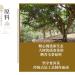 Pu-erh tea 2016 brown 357g Raw - Buy Online on GoSupps.com
