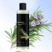 2 Pack Rosemary Shampoo for Hair Growth Natural Organic Shampoo Oil Control Reduces Static Charge and Frizz Unisex 1 Pack 1 Pack