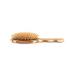 Extra Large Oval Bass Brush - Cushioned Wood Bristles & Stripped Bamboo Handle - Buy Online on GoSupps.com