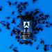 Ryse Project Blackout Pump Cap Max | Stimulant-Free Pump Formula | 120 Capsules - Buy Online on GoSupps.com
