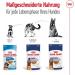Royal Canin Maxi Ageing 8+ | Pack of 4 | 4 x 10 x 140 g | Complete Food for Dogs | for Large Older and Senior Dogs (26 to 44 kg) | From 5 Years - Buy Online on GoSupps.com