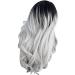 Buy Long Grey Synthetic Wig for Women | Curly & Wavy 70s 80s 60s & 50s Cosplay Styles - International Shipping Available - Buy Online on GoSupps.com