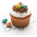 Cadbury Mini Eggs Chocolatey Candy Eggs 90 g (Pack of 15) Chocolate 90 g (Pack of 15) - Buy Online on GoSupps.com