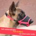 Buy Andiker Black Dog Muzzle - Adjustable Mesh Training Muzzle for Barking Biting & Chewing (Size L) | Best International Shipping - Buy Online on GoSupps.com