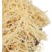 Seaweed Sea Moss Dried Chinese Seamoss 500g - Buy Online on GoSupps.com