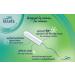 Lil-Lets 10 Smartfit Super Plus Tampons - Ultra Comfort & Protection | Shop Internationally - Buy Online on GoSupps.com