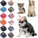 Baseball Cap for Dogs - XL Black Sun Protection Pet Cap with Ear Holes & Adjustable Straps | Outdoor Summer Hat - Buy Online on GoSupps.com