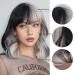 Testar Black Gray Brief Wavy Wigs for Women | Heat-Resistant Synthetic Curly Bob Wig with Ponytail | Perfect for Everyday & Party Use - Buy Online on GoSupps.com