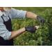 Buy Tiga-Med Powder-Free Black Nitrile Gloves - 100 pcs X-Large | Latex-Free Disposable One-Off Gloves for International Shipping - Buy Online on GoSupps.com