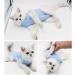 Cat Professional Surgical Recovery Suit Cat Clothes for Abdominal Wounds or Skin Diseases (M Blue) 1.36 kg (Pack of 1) Blue - Buy Online on GoSupps.com