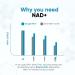 NAD+ Supplement for Anti Aging & Cell Regeneration | NMN Supplement Alternative - NAD with Resveratrol & Quercetin | Boosts Mitochondrial Health Mental Clarity & Vitality | 60 Count | for Women & Men - Buy Online on GoSupps.com