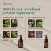 Gya Labs Soothing & Destressing Massage Oil (200ml) - 2-in-1 Pack Soothing & Destressing Massage Oil Combo Pack - Buy Online on GoSupps.com