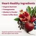 Snap Supplements Nitric Oxide Beet Root Gummies - 120 Count for Healthy Blood Circulation | Boost Energy & Endurance - Buy Online on GoSupps.com