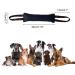 Durable 30cm Sausage Dog Toy - Robust Training Tug for K9 & Taming - Ideal for Dogs - Buy Online on GoSupps.com