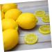 ABOOFAN 39 Pcs Imitation Lemon Slice Fake Fruit Slices Lifelike Lemon Model Lifelike Decorative Fruits Fake Lemon Slices Fake Fruit Model Fruits Slices Blocks Filler Pvc Vegetable - Buy Online on GoSupps.com