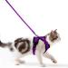 Cat dishes with a leash breakproof cat leash set adjustable soft kitten vest with reflective stripes breast dishes for small kittens (purple XS) purple XS